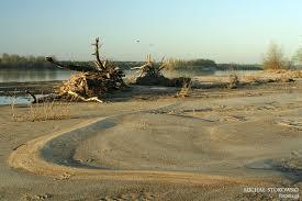 Rezerwat przyrody Zakole Zakroczymskie